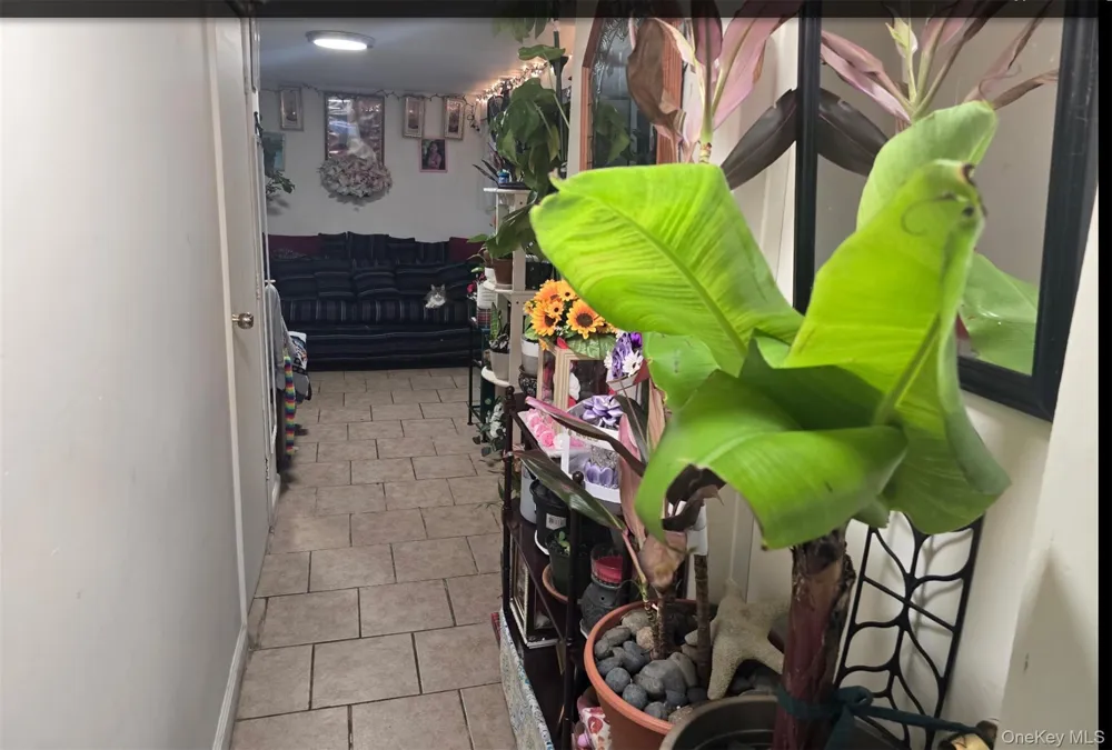 5 Campion Street Brentwood, NY 11717