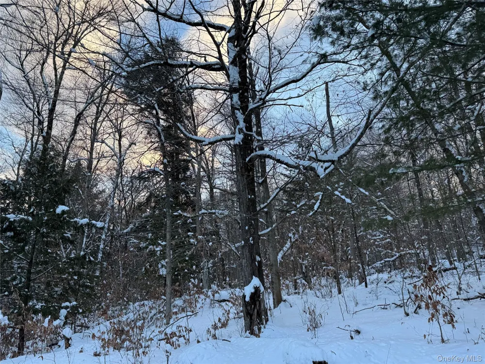 00 Starlight Road Monticello, NY 12701