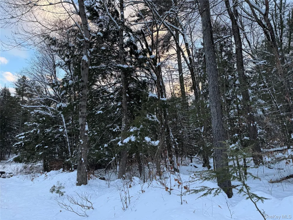 00 Starlight Road Monticello, NY 12701