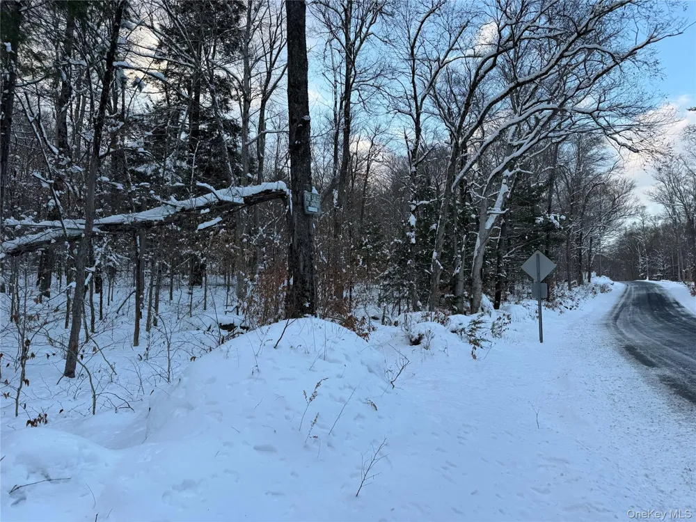 00 Starlight Road Monticello, NY 12701