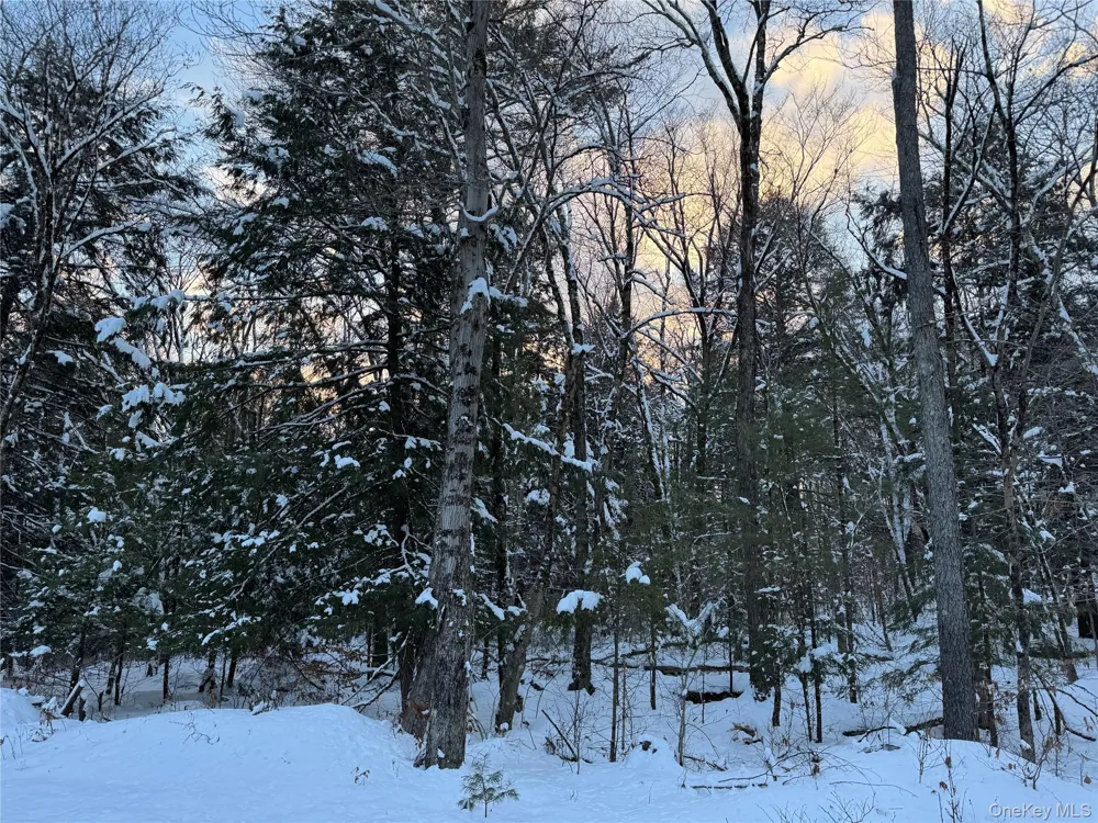 00 Starlight Road Monticello, NY 12701