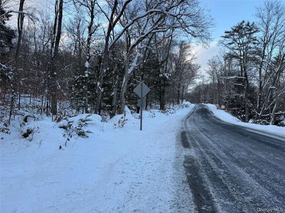 00 Starlight Road Monticello, NY 12701