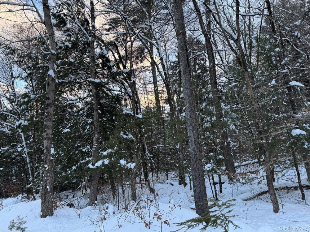 00 Starlight Road Monticello, NY 12701
