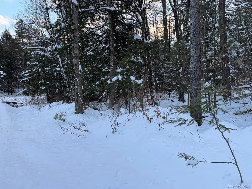 00 Starlight Road Monticello, NY 12701