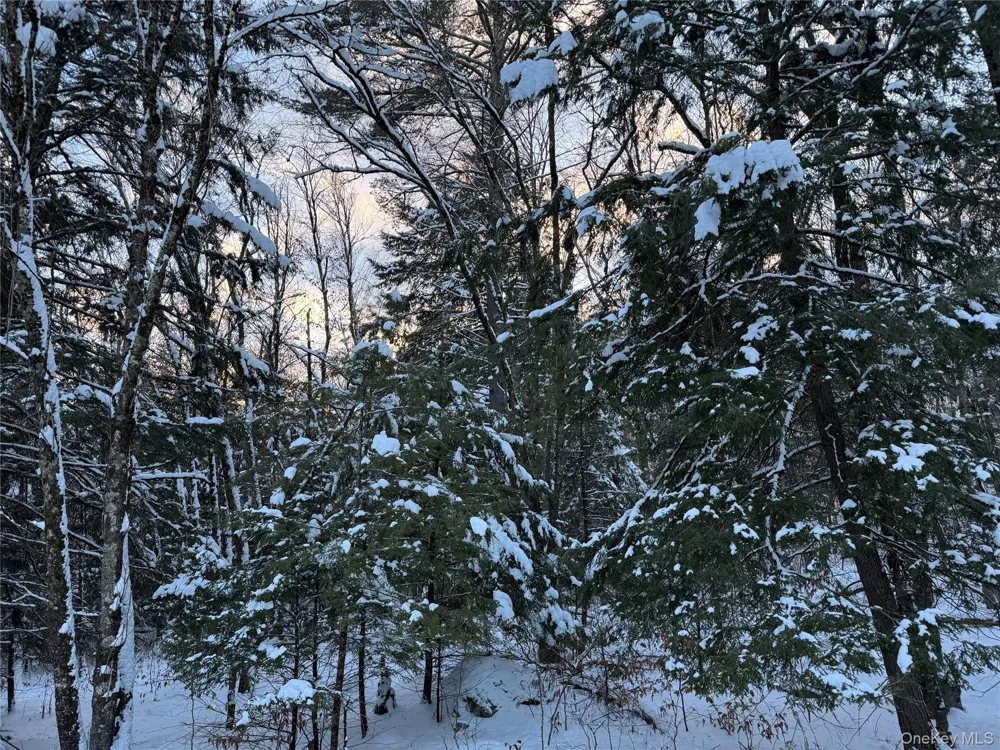 00 Starlight Road Monticello, NY 12701