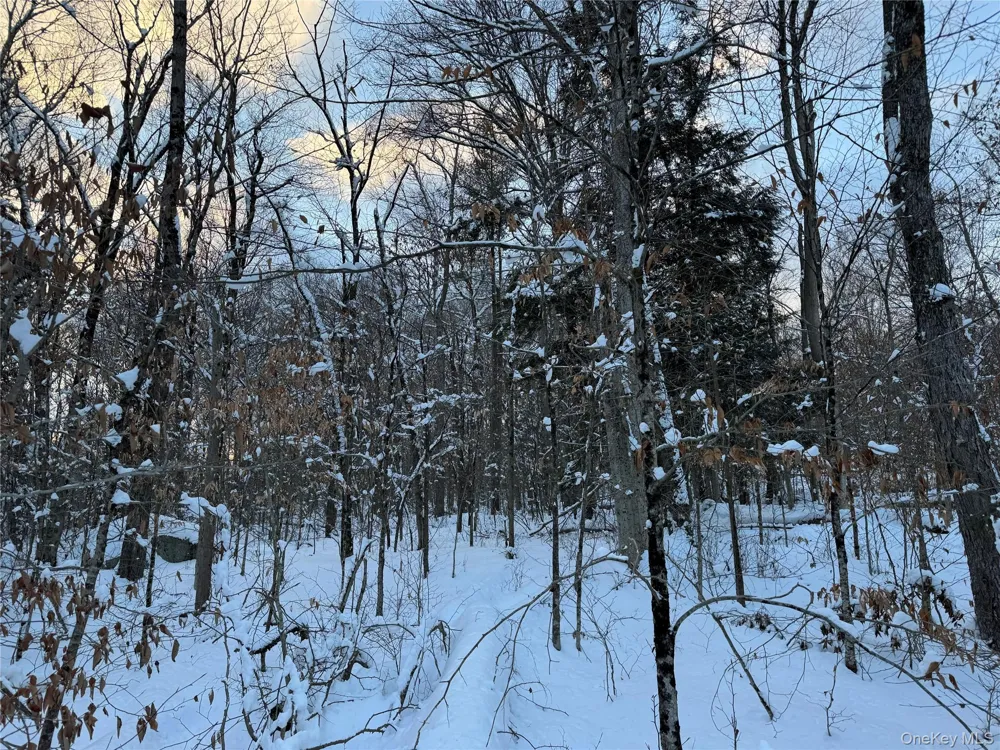 00 Starlight Road Monticello, NY 12701