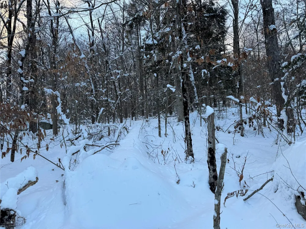 00 Starlight Road Monticello, NY 12701