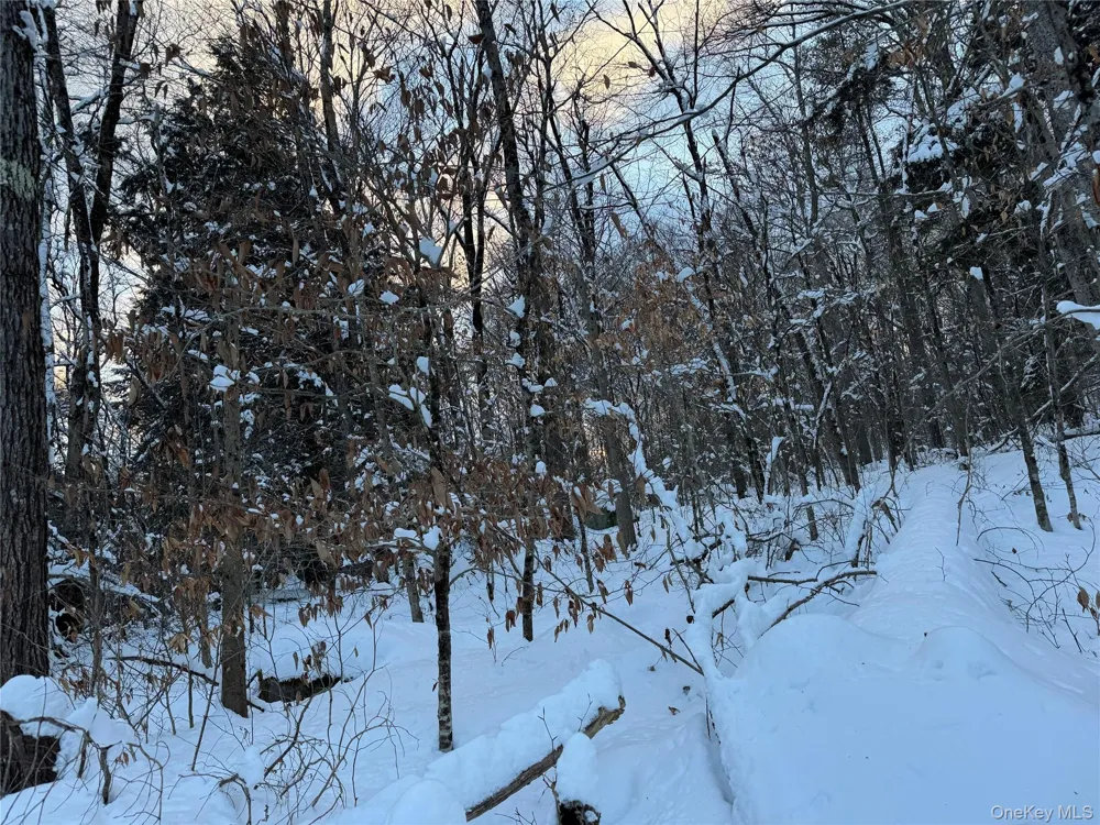 00 Starlight Road Monticello, NY 12701