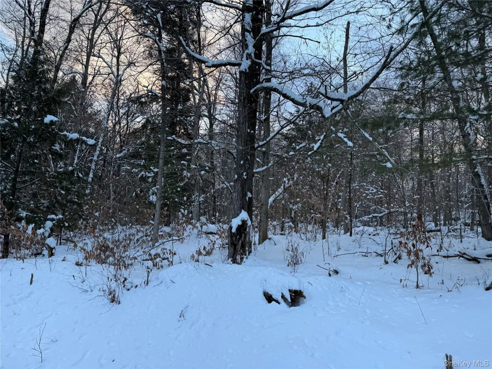 00 Starlight Road Monticello, NY 12701