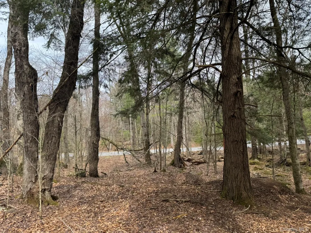 00 Starlight Road Monticello, NY 12701
