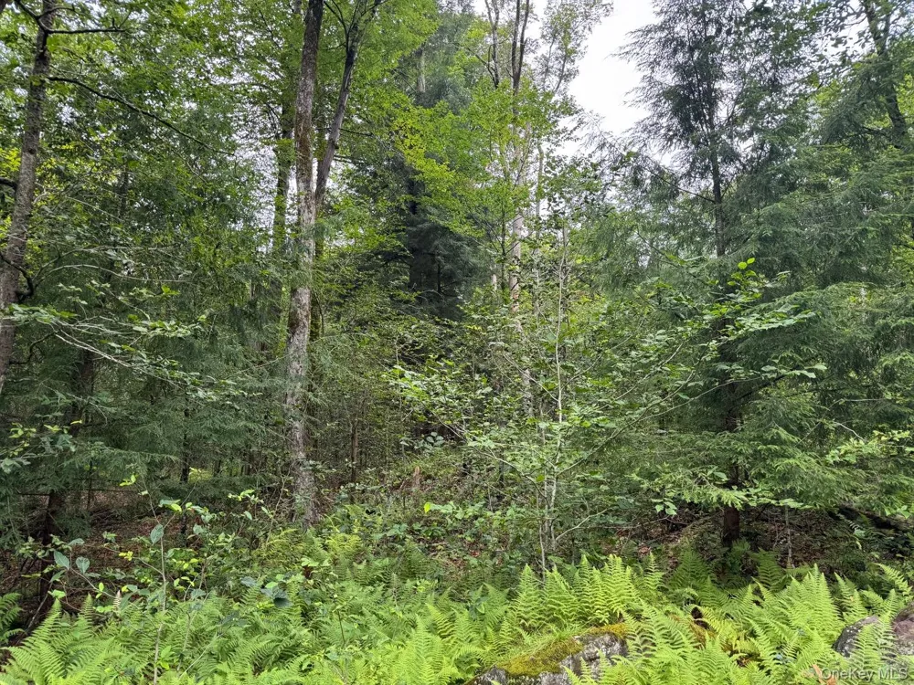 00 Starlight Road Monticello, NY 12701