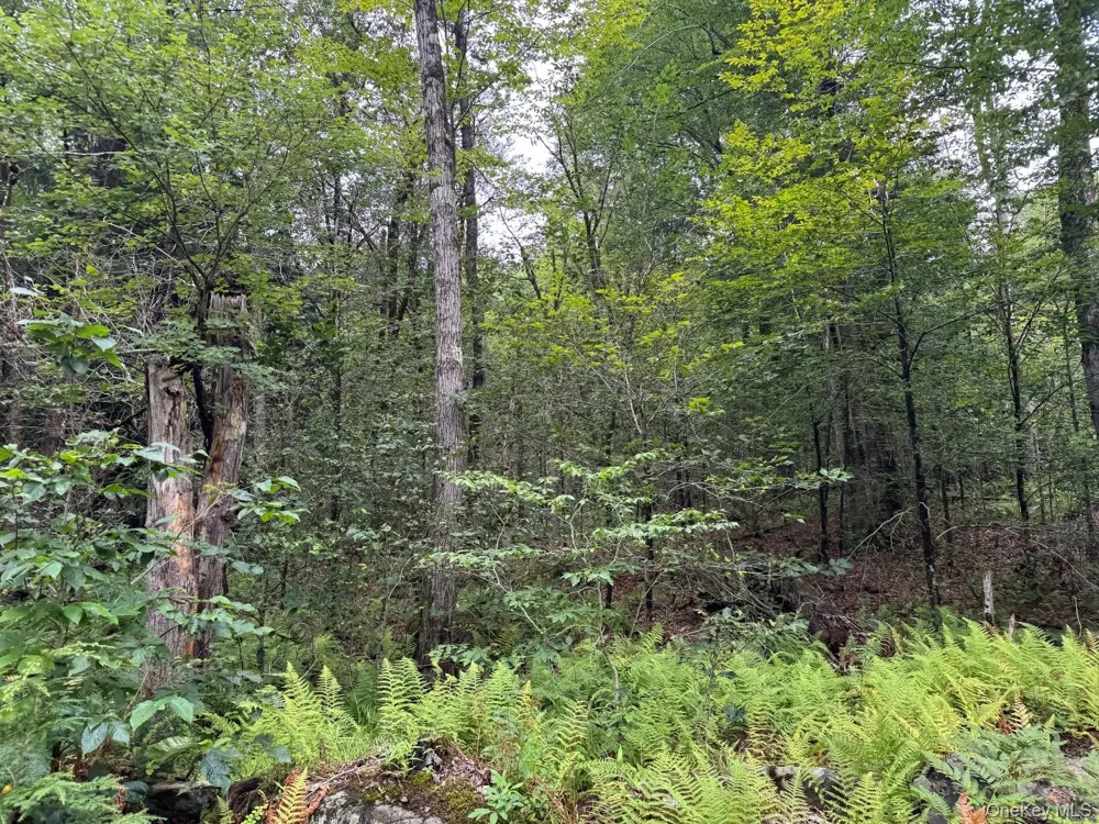 00 Starlight Road Monticello, NY 12701