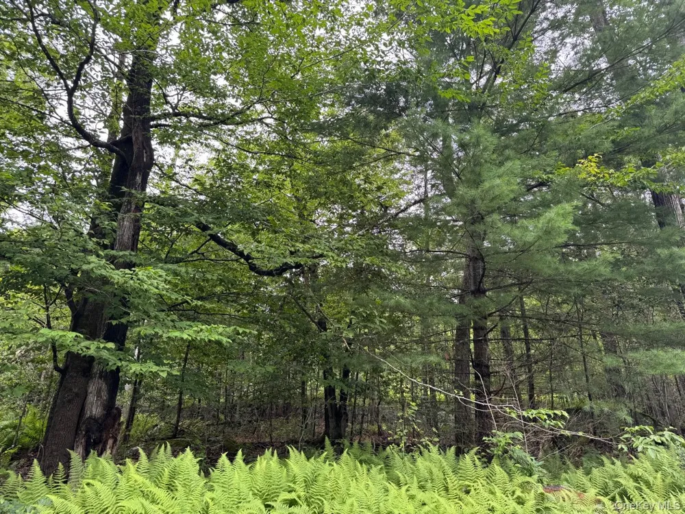 00 Starlight Road Monticello, NY 12701