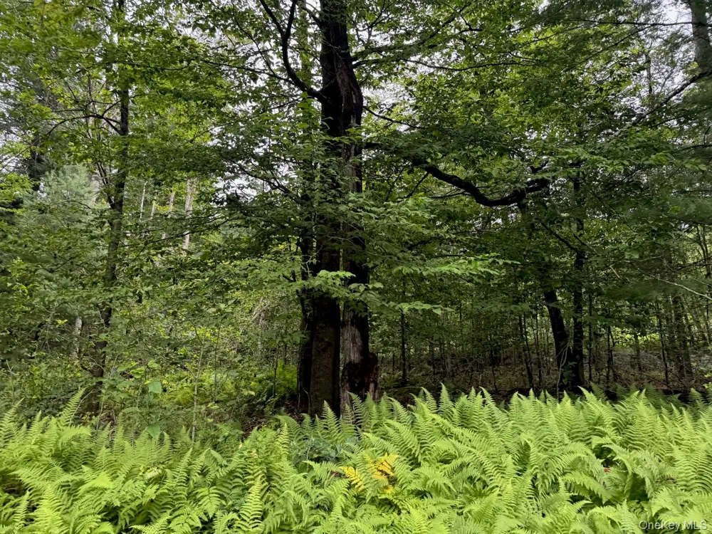 00 Starlight Road Monticello, NY 12701