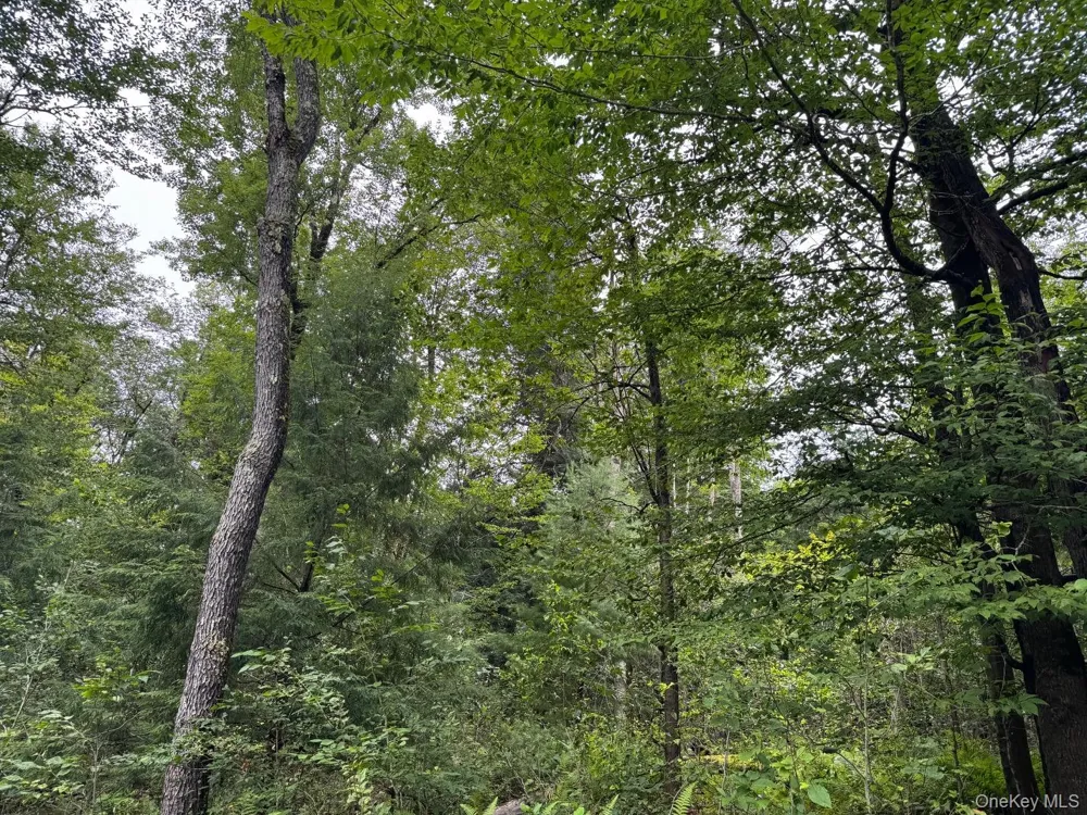 00 Starlight Road Monticello, NY 12701