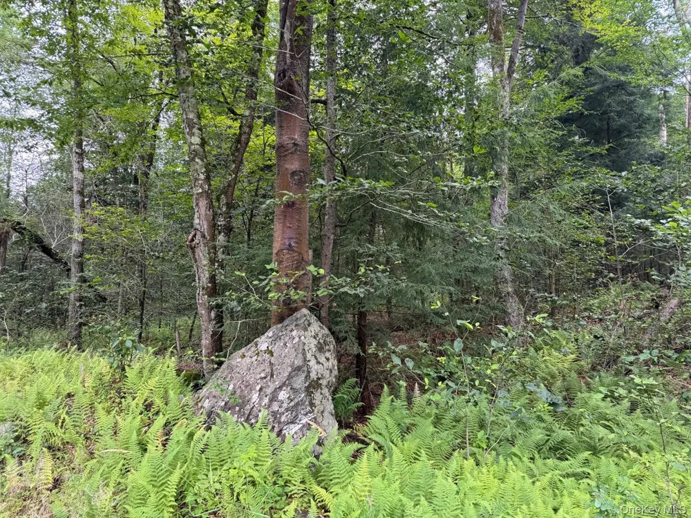 00 Starlight Road Monticello, NY 12701