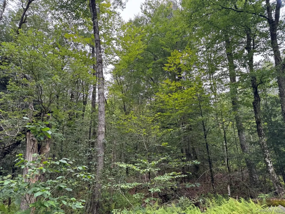 00 Starlight Road Monticello, NY 12701