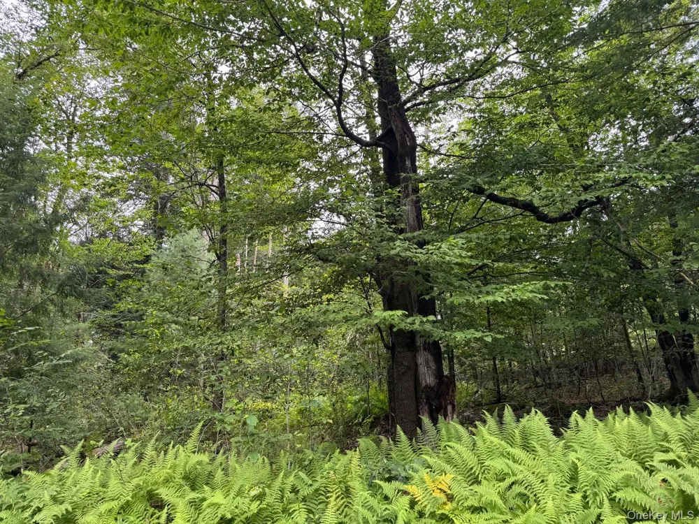 00 Starlight Road Monticello, NY 12701