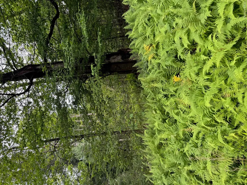 00 Starlight Road Monticello, NY 12701