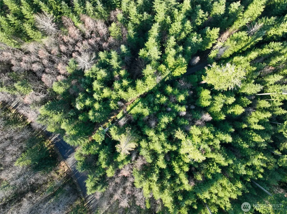 0 Skate Creek Road S Packwood, WA 98361