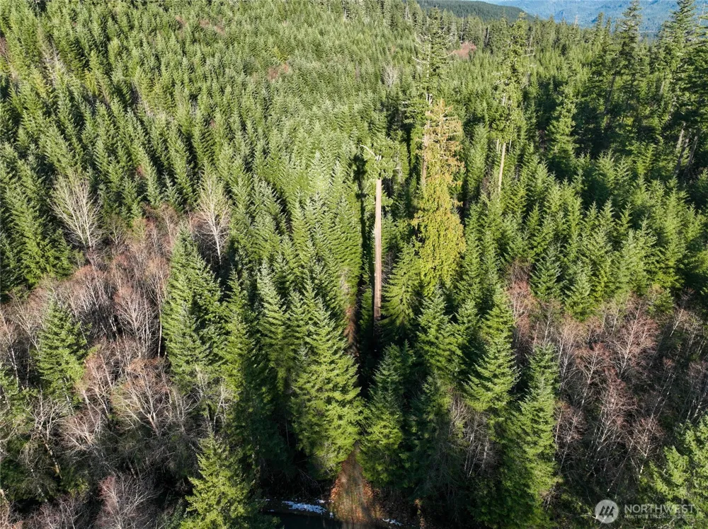 0 Skate Creek Road S Packwood, WA 98361