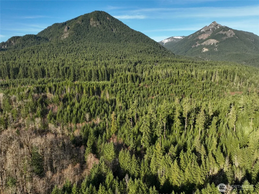 0 Skate Creek Road S Packwood, WA 98361