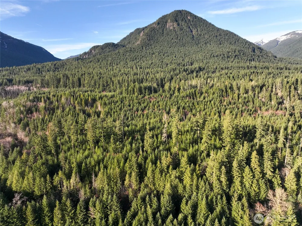 0 Skate Creek Road S Packwood, WA 98361