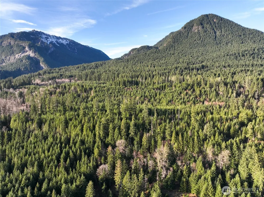 0 Skate Creek Road S Packwood, WA 98361