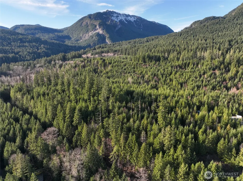 0 Skate Creek Road S Packwood, WA 98361
