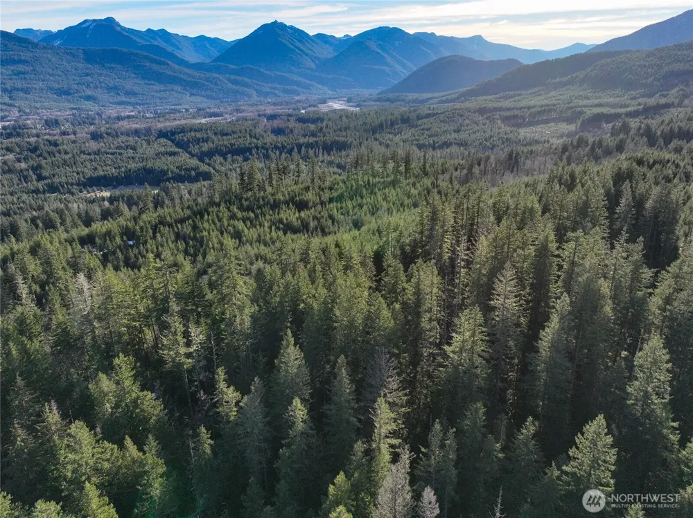 0 Skate Creek Road S Packwood, WA 98361