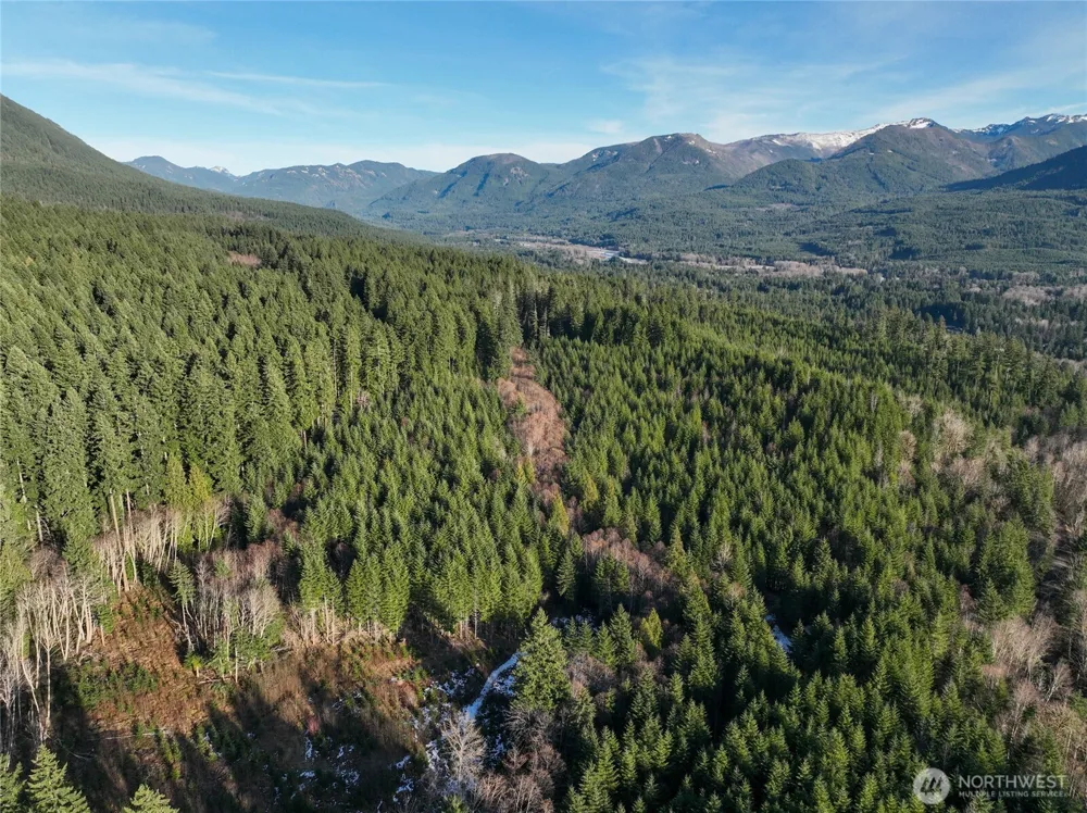 0 Skate Creek Road S Packwood, WA 98361
