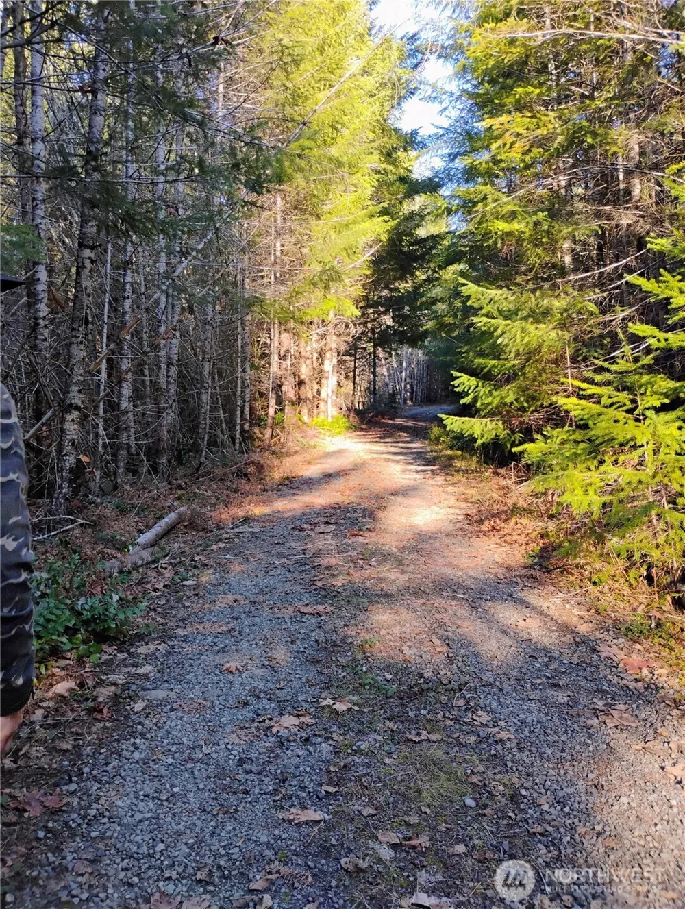 0 Skate Creek Road S Packwood, WA 98361