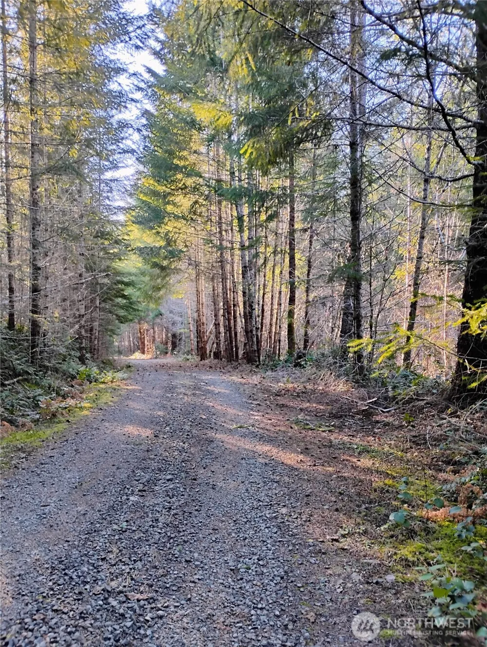 0 Skate Creek Road S Packwood, WA 98361