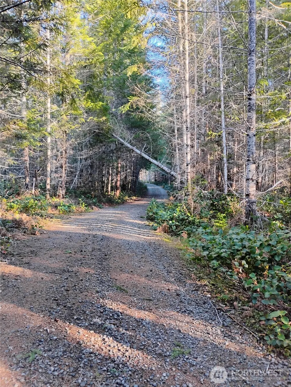 0 Skate Creek Road S Packwood, WA 98361