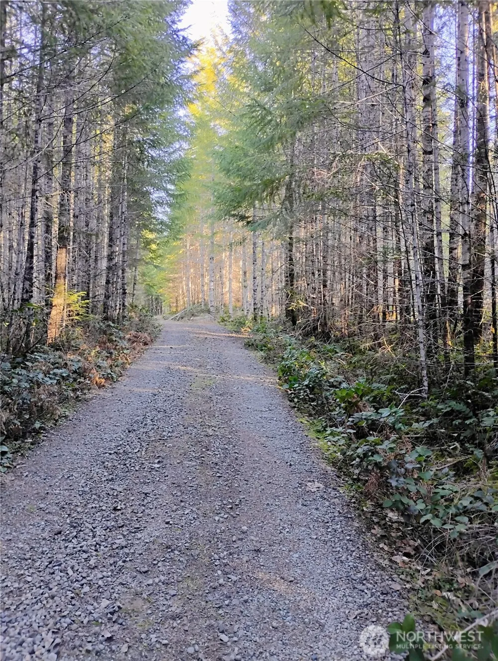 0 Skate Creek Road S Packwood, WA 98361