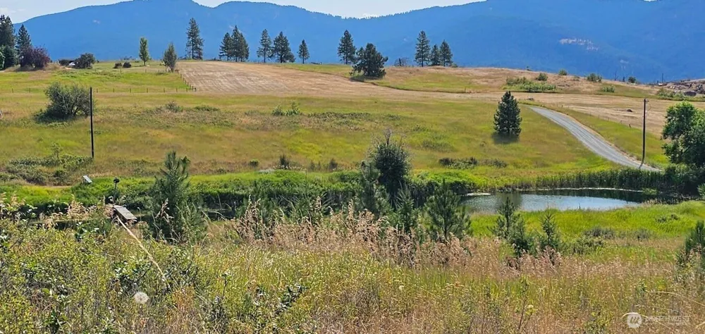 1041 Ward Way Colville, WA 99114