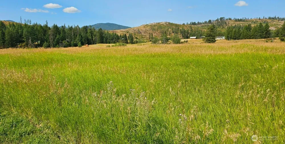 1041 Ward Way Colville, WA 99114
