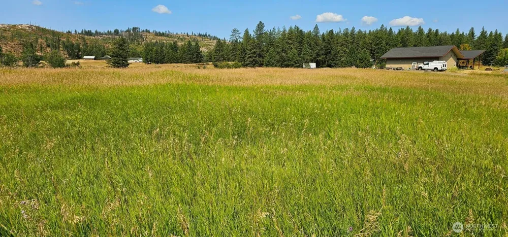 1041 Ward Way Colville, WA 99114