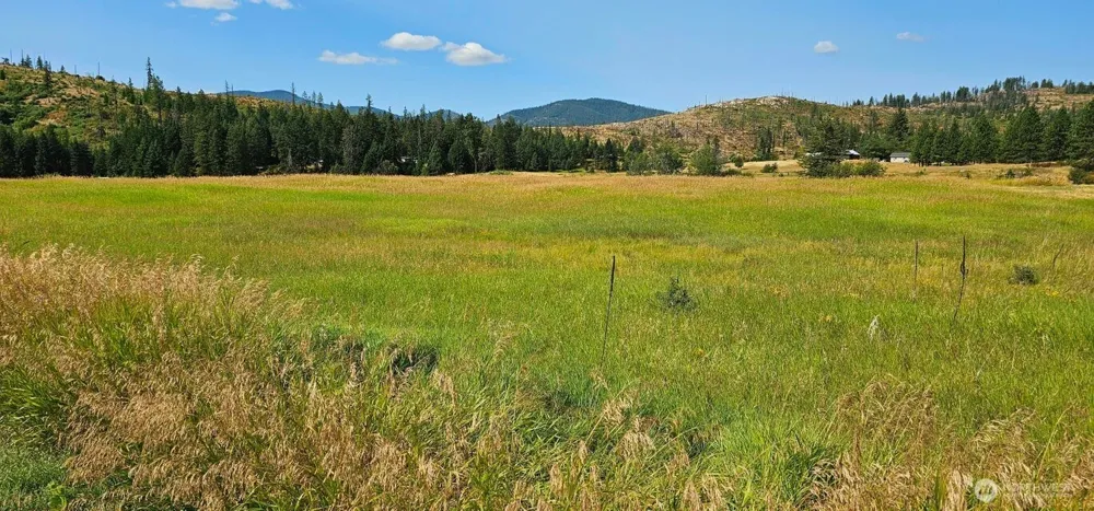 1041 Ward Way Colville, WA 99114