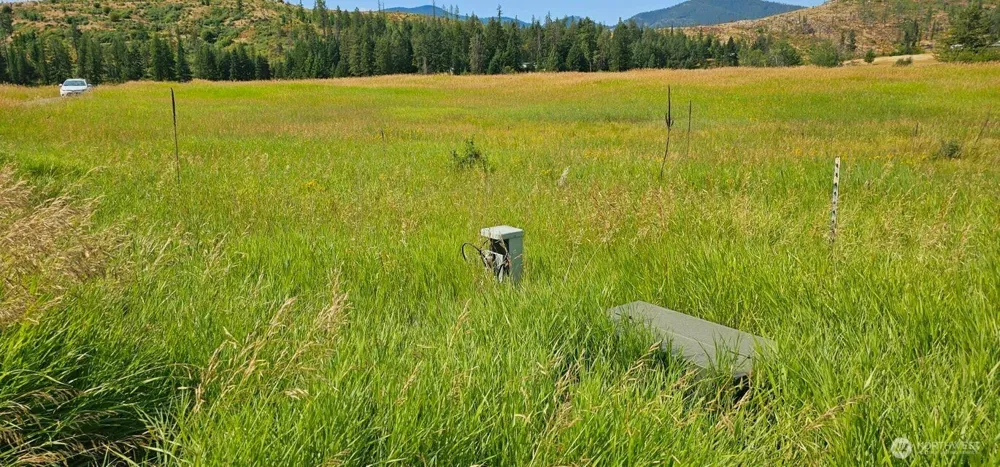 1041 Ward Way Colville, WA 99114