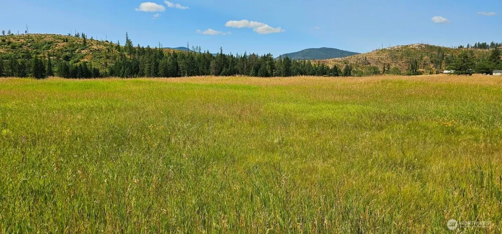 1041 Ward Way Colville, WA 99114