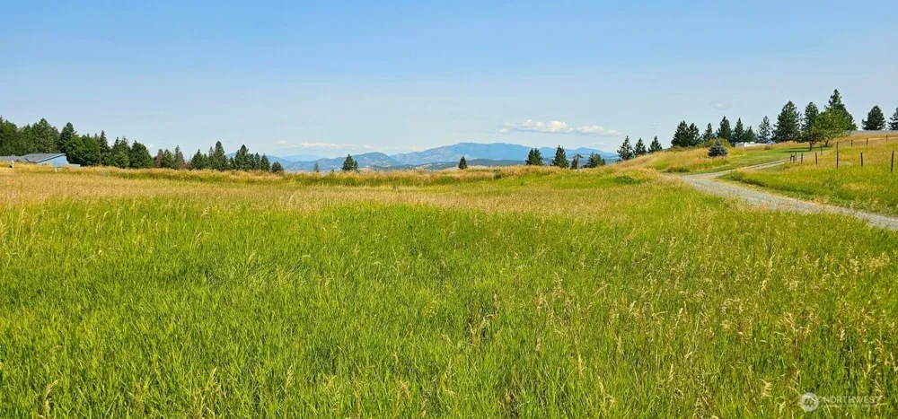 1041 Ward Way Colville, WA 99114