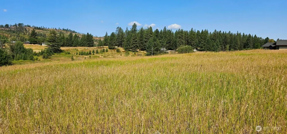 1041 Ward Way Colville, WA 99114