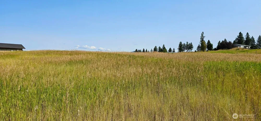 1041 Ward Way Colville, WA 99114