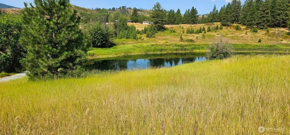 1041 Ward Way Colville, WA 99114