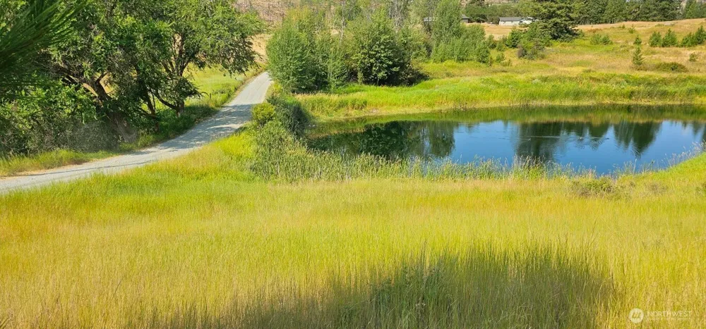 1041 Ward Way Colville, WA 99114
