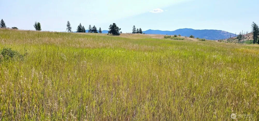 1041 Ward Way Colville, WA 99114