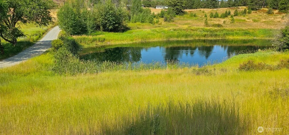 1041 Ward Way Colville, WA 99114