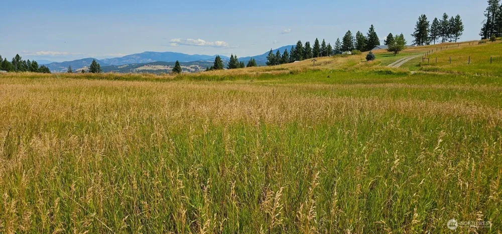1041 Ward Way Colville, WA 99114