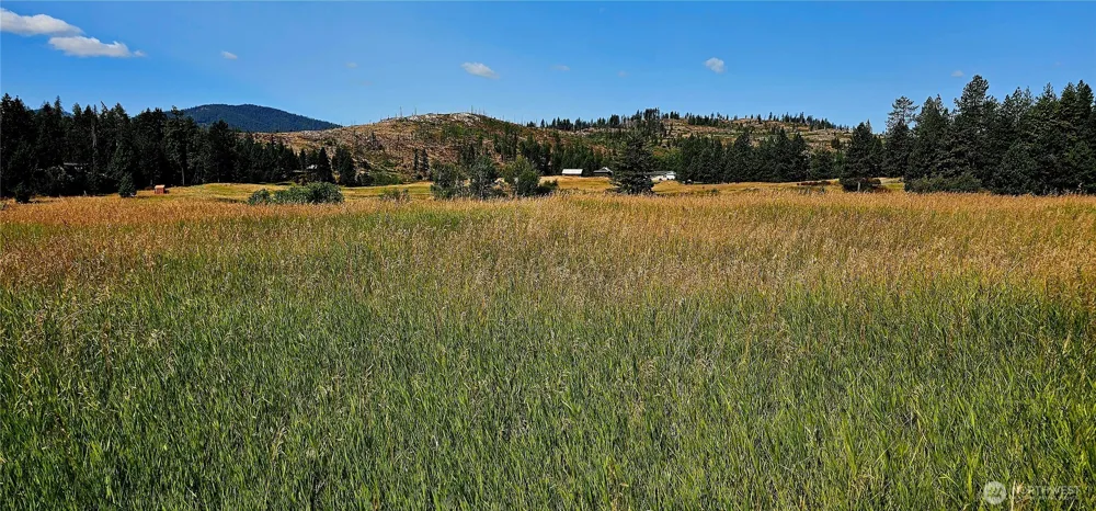 1041 Ward Way Colville, WA 99114